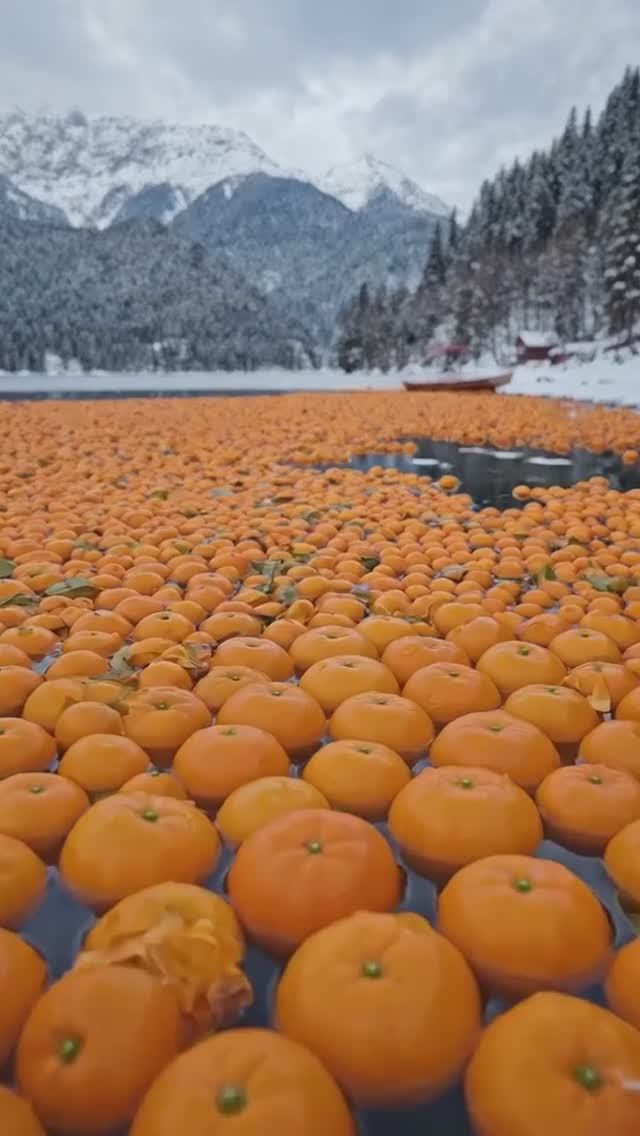 Что произошло на озере Рица - Откуда там появилось столько мандаринов смотреть онлайн