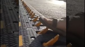 Шипованный полицейский