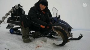 Судак на Рыбинке