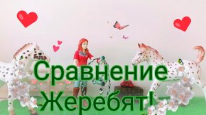 Сравнение двух жеребят - кнабструпперов!