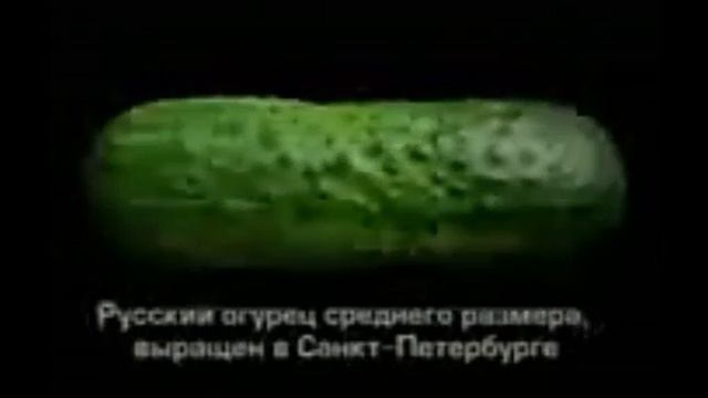 Реклама Русский размер 2005