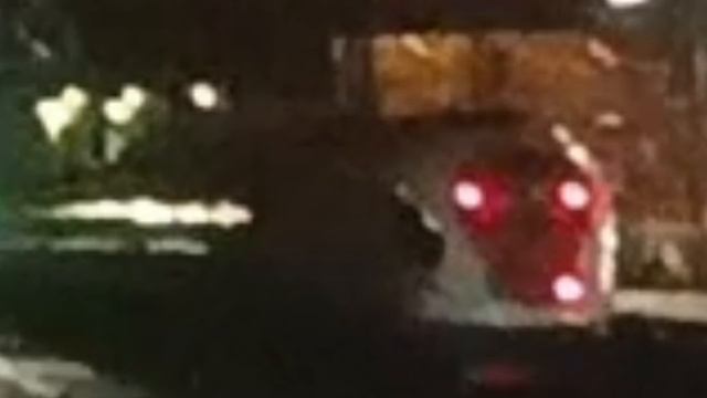 Скоростные поезда Аврора, Сапсан, и Невский экспресс на Главный ход Октябрьская Железная дорога.