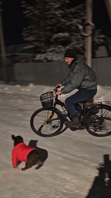 Велосипед
