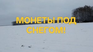 МОНЕТЫ ПОД СНЕГОМ! КОП 2021 #поискмонет #монеты #equinox900 #equinox #minelab #металлоискатель #53