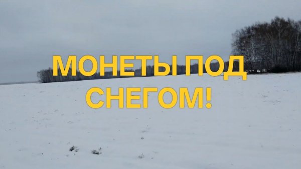 МОНЕТЫ ПОД СНЕГОМ! КОП 2021 #поискмонет #монеты #equinox900 #equinox #minelab #металлоискатель #53