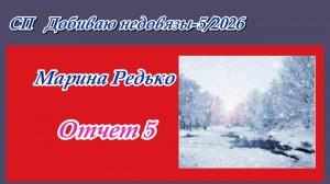 СП "Добиваю недовязы-5/2026" / Отчет 5