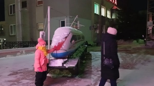 Наши будни.Встретили Вероничку.