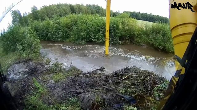 Разбор большой бобровой плотины смотреть онлайн