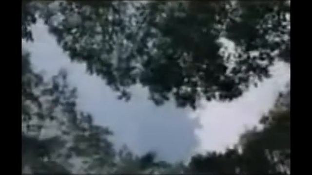 Реклама Аэрофлот 2004