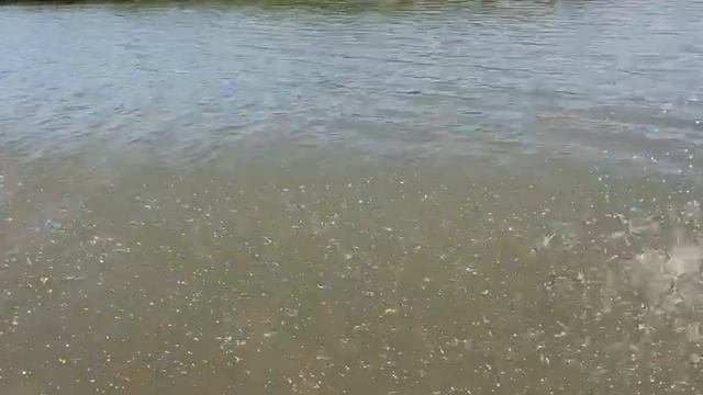 -4380714234938123660