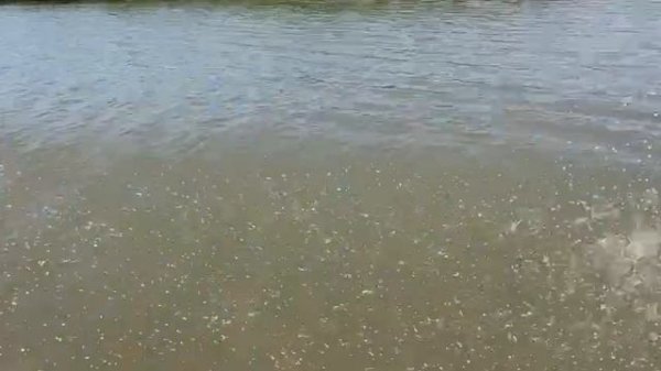 -4380714234938123660