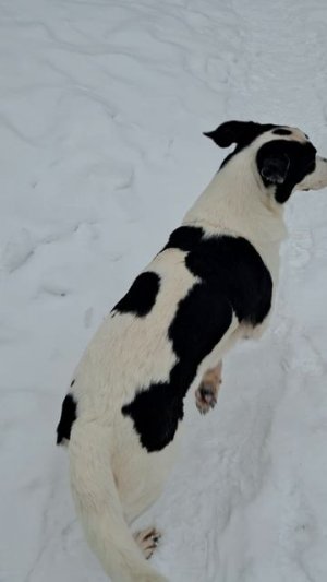 🖋️🚀МОРОЗНО И ВЕСЕЛО 🖋️🚀