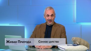 Живая природа. "Сонное царство"
