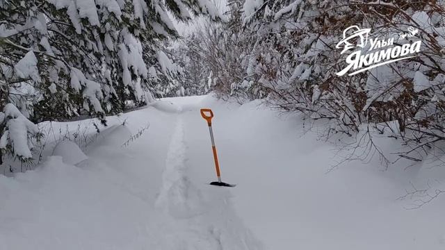Зимнее приключение пчеловода Якимова смотреть онлайн
