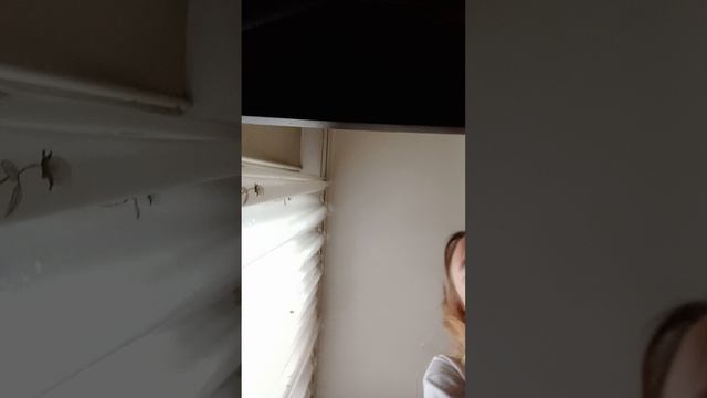 1000019813.mp4 смотреть онлайн