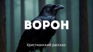 Ворон | Христианский рассказ, берущий за душу