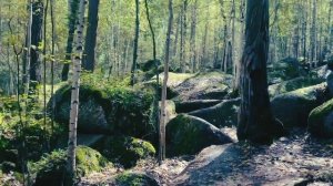 Куда ведёт твоя дорога?