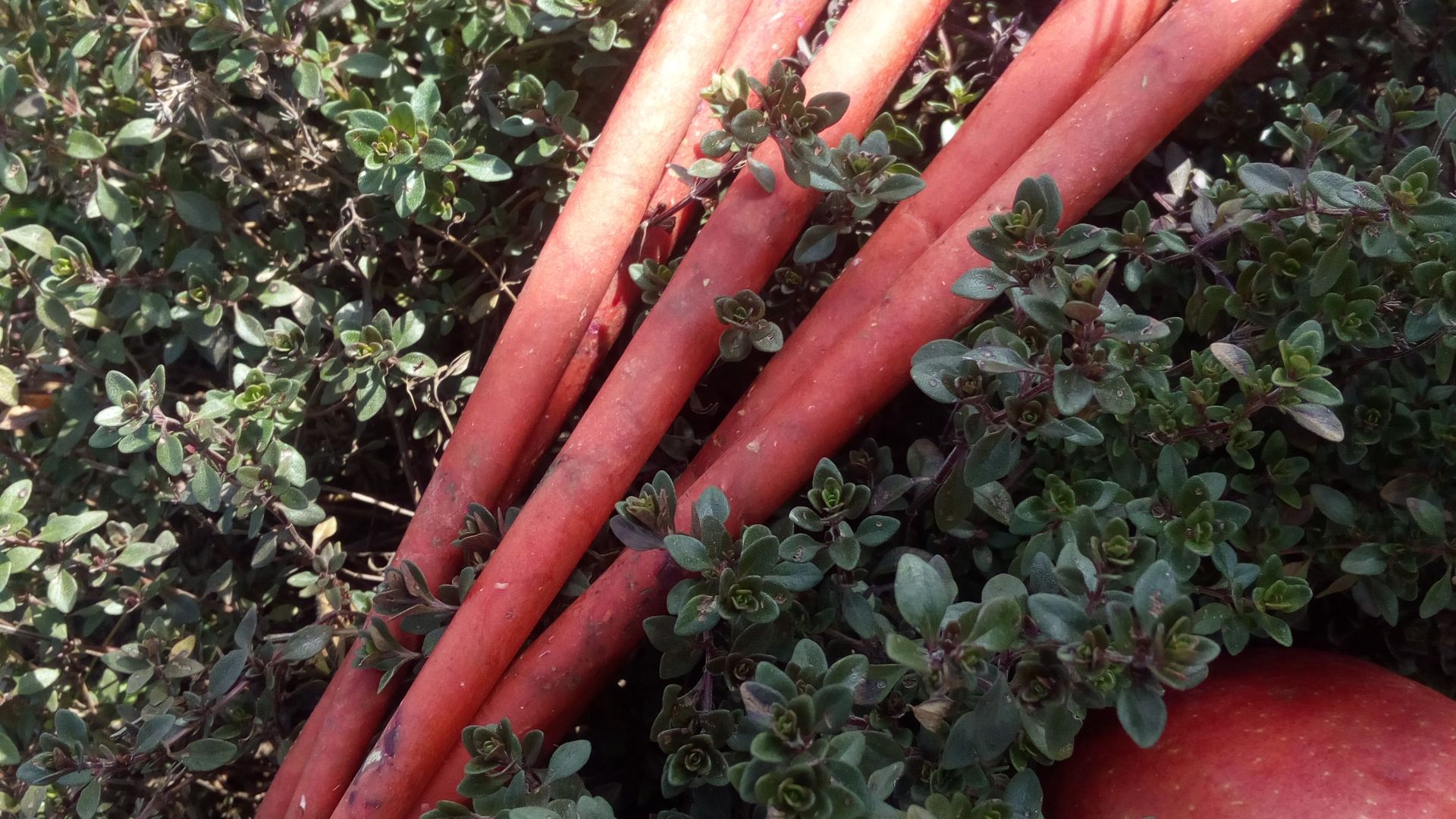 Свечи Имболк