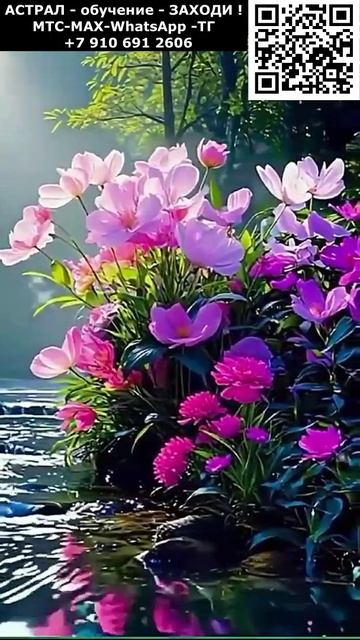 Красивые астральные цветы. Релакс #ИИ #красивый #позитивный #релакс #приятный #чудесный #вид #цветы смотреть онлайн