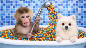 Мультики для детей, обезьянка купается в ванне с конфетами/видео про обезьянку