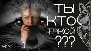 Кто ты такой? Енот полоскун