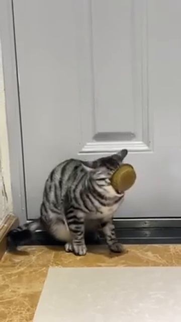 Сбой системы смотреть онлайн