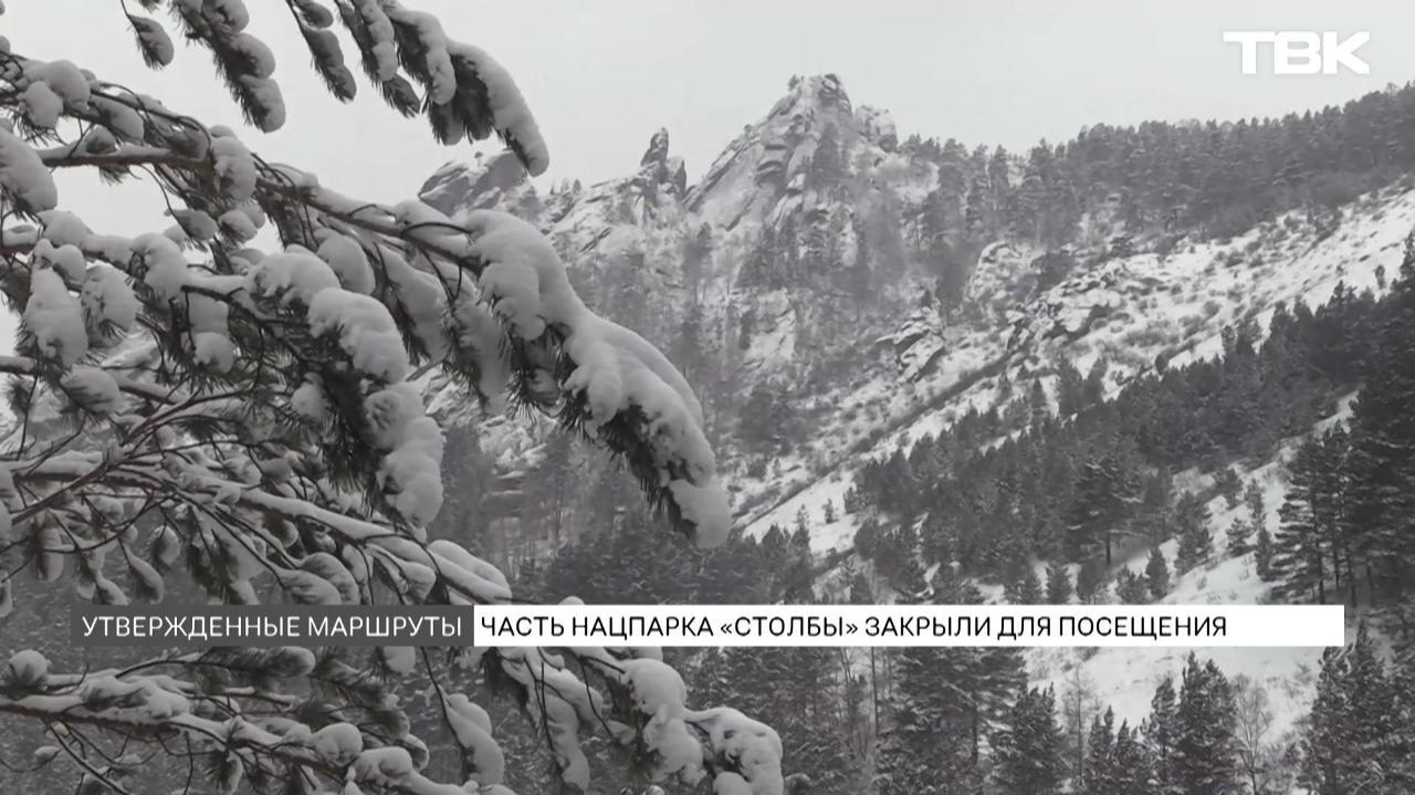 Часть красноярских Столбов закрыли для туристов смотреть онлайн