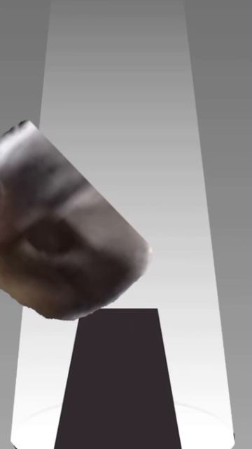 Sprunki chipi chipi chapa chapa cat