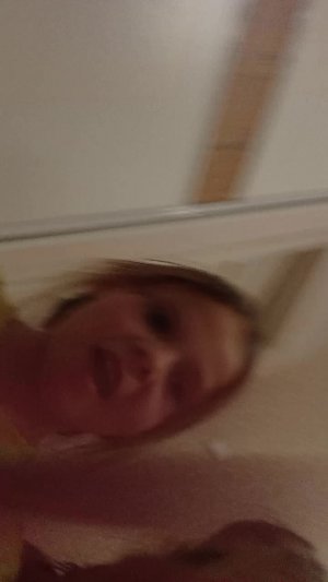 челлендж лошадей schleich угадай лошадь schleich