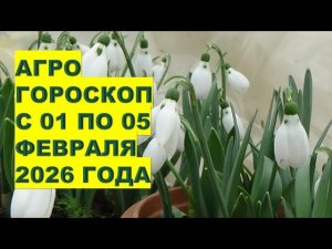 На Что Нужно Обратить Внимание Огородникам и Садоводам в Первую Неделю Февраля 2026?!