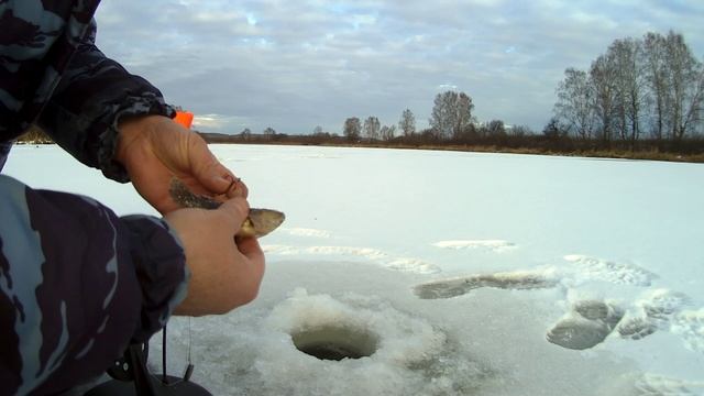 ЛОВЛЯ КРУПНОГО РОТАНА СО ЛЬДА. КРУПНЫЙ РОТАН. смотреть онлайн