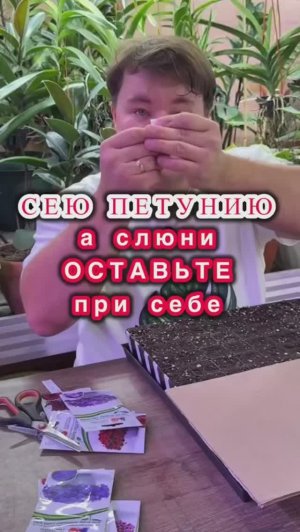 ПОСЕВ #ВИОЛЫ И #ПЕТУНИИ НА РАССАДУ!