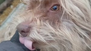 Херсонщина 30 января 2026 года (в гостях у жука)