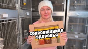 Набор "Сокровищница здоровья" | Сколько чего можно?