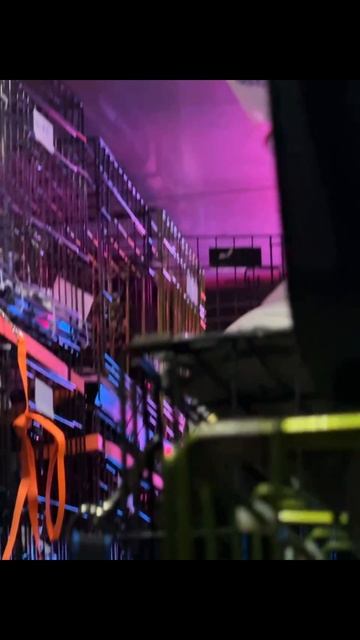 Ее выкинули с двумя котятами. Что с ней сейчас?