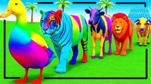 Мультики про диких животных. Разноцветные животные: утка и тигр. Смотреть онлайн Мультики для детей.