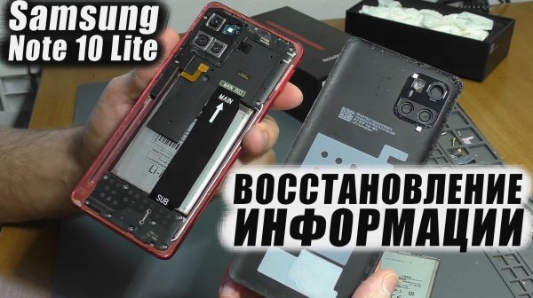 Нет изображения / Не заряжается | Смартфон Samsung Note 10 Lite (SM-N770F) (Восстановление данных)