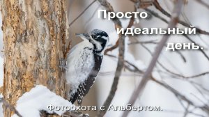 Фотоохота с Альбертом. Просто идеальный день.