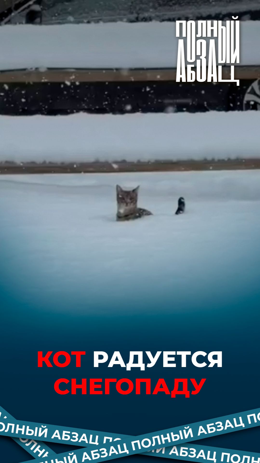 Кот радуется снегопаду смотреть онлайн