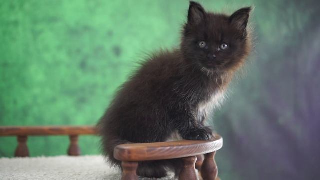 Eden 1,5 месяца смотреть онлайн