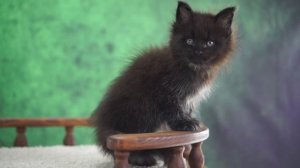 Eden 1,5 месяца