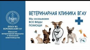 Часть 2. ПО ПРОСЬБЕ КАНАЛА «Роман и Людмила любители пионов» ВГАУ Ветеринарный факультет 🩺🧬