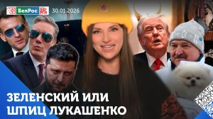 Зеленский завидует собаке Умке / Стармер высмеял Макрона / В НАТО - кризис управления
