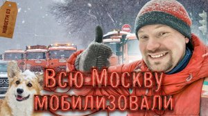 Стивен Сигал и особняк на Рублевке | Миусскую дюну заранее закрыли | Снега на два корги