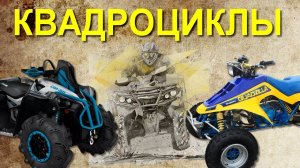 Пара слов о КВАДРОЦИКЛАХ
