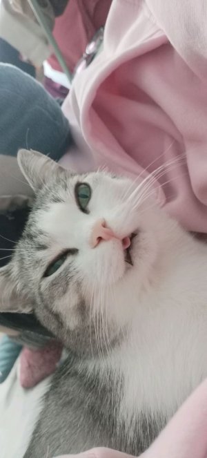 ЗАХОДИТЕ КО МНЕ!!!!Я хочу 300 зрителей