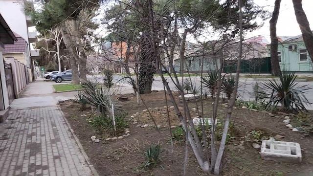 Анапа. Прогулка по улице Самбурова 30 января 2026. 15.00 смотреть онлайн