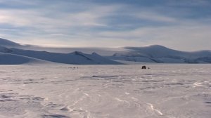 Терра Антарктика. ХХI век, 52 мин., 2010 г.