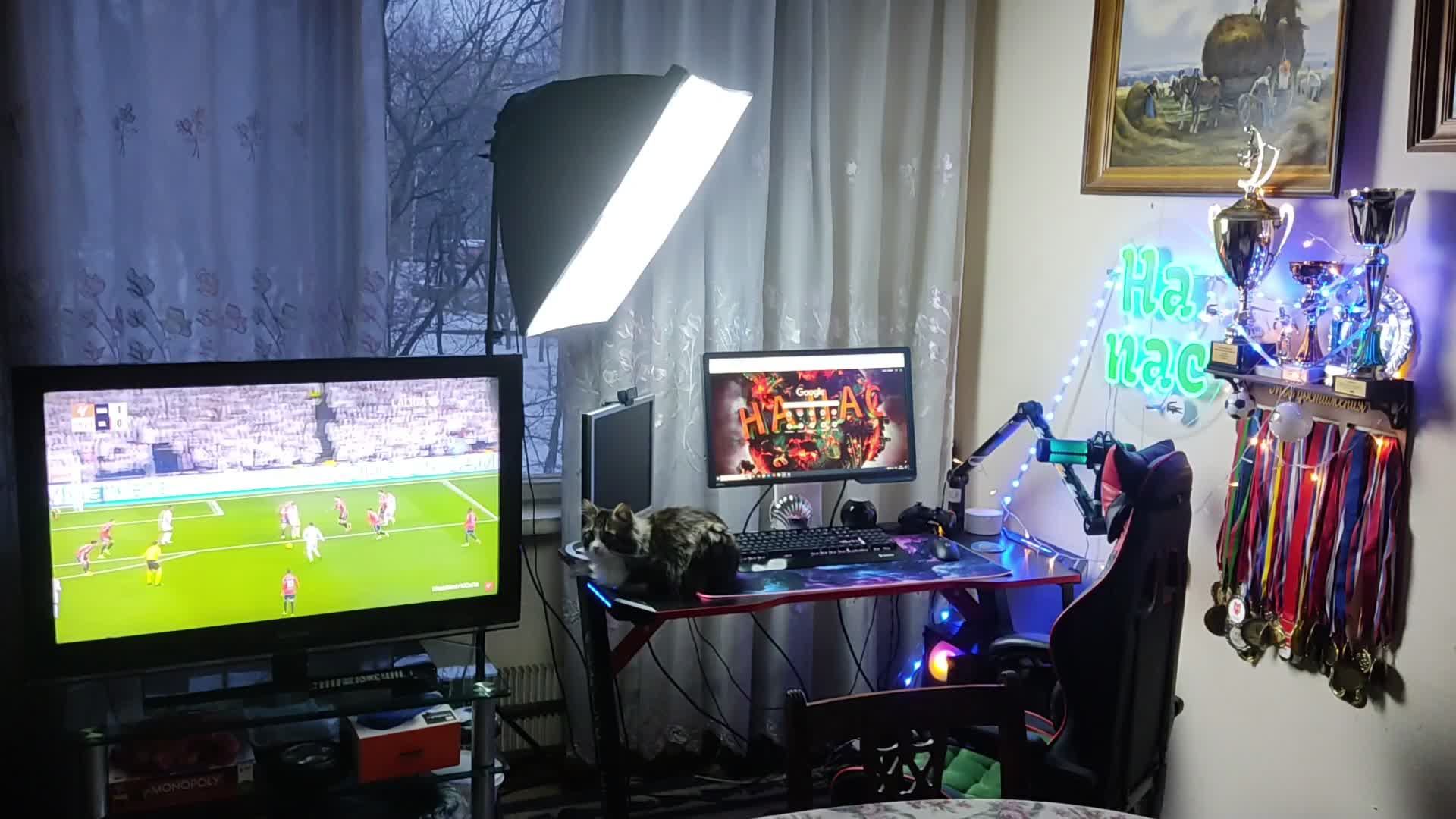 День бегства от стресса | ActiveMatter