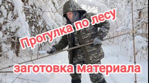 Прогулка по лесу. Заготовка материалов.